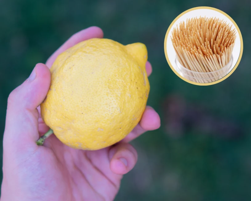 Zde najdete návod, jak vymačkat šťávu, aniž byste museli citron krájet. Zůstane tak déle čerstvá.