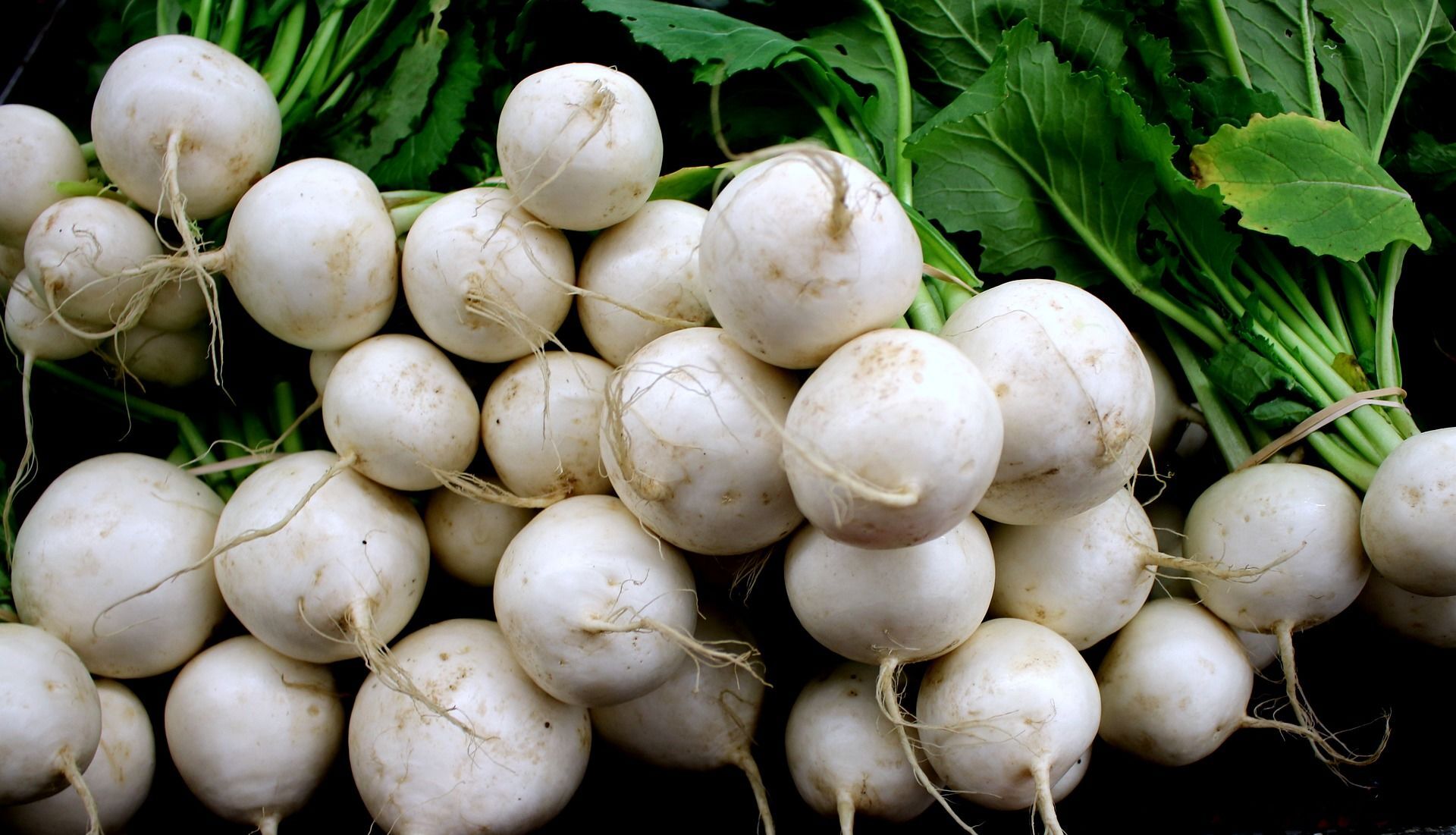 Výrobkům v obchodě nevěnujeme pozornost, a to je škoda. Obsahuje hodně vitaminu C, čistí organismus a posiluje imunitní systém.