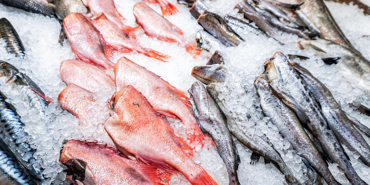 Jsou mražené ryby lepší než čerstvé? Překvapivá zjištění vědců