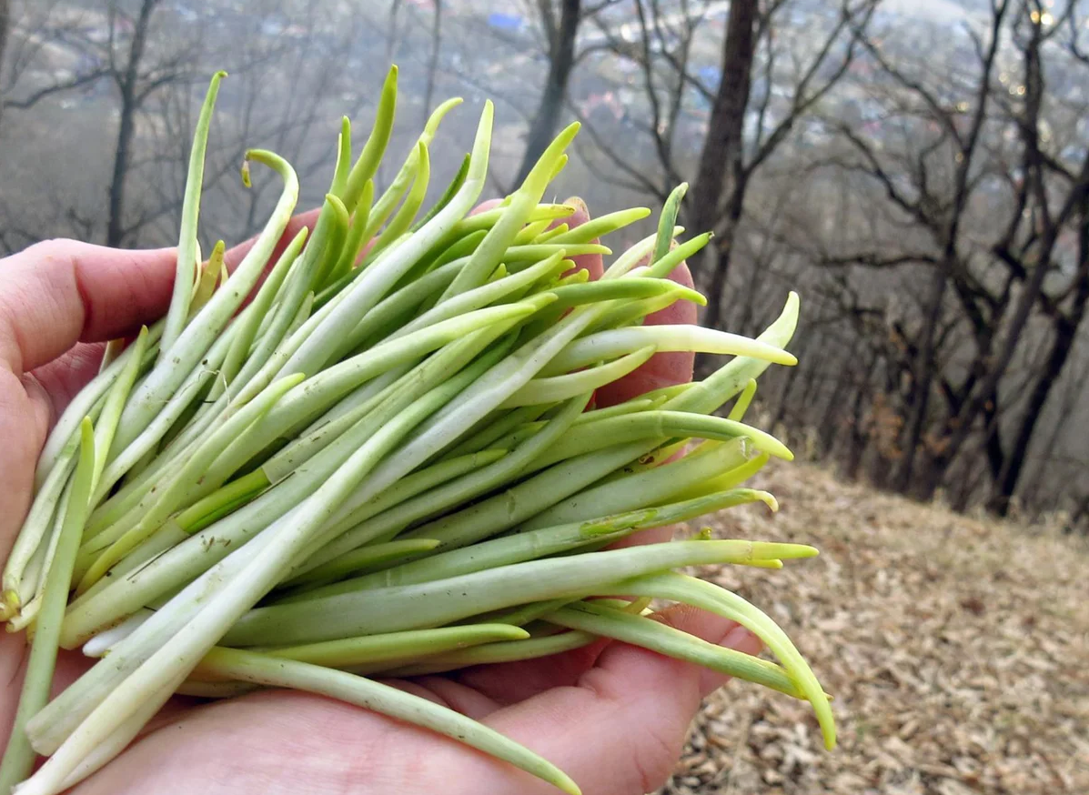 Přidejte 1 polévkovou lžíci s naběračkou do hrnce s vývarem. Bude tak aromatický, že zapomenete na kostky koupené v obchodě.