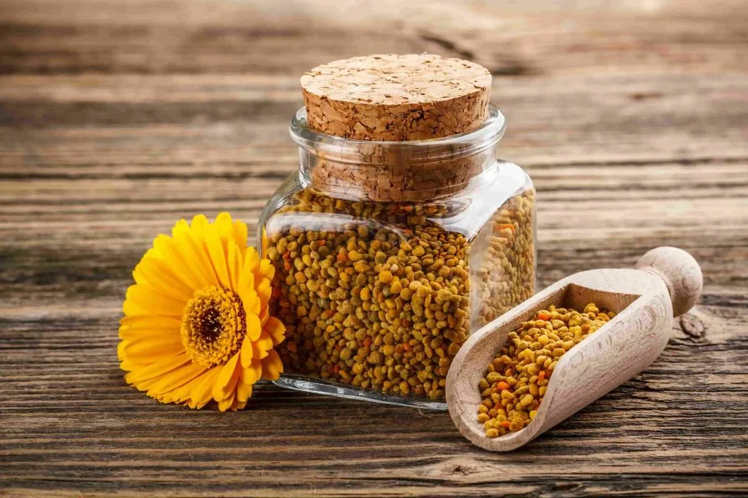 Je včelí pyl užitečný? Terapeutické vlastnosti a výživová hodnota, kcal