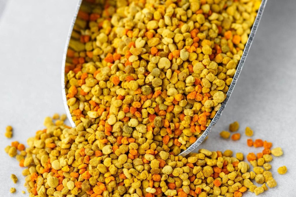 Je včelí pyl užitečný? Terapeutické vlastnosti a výživová hodnota, kcal