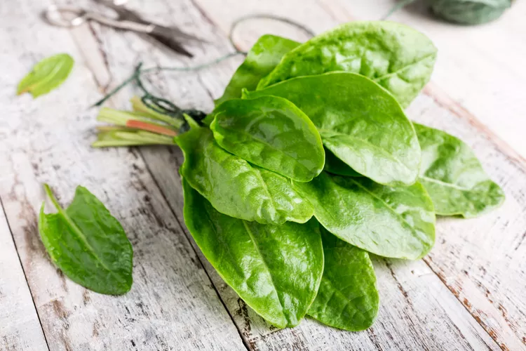 Několik způsobů použití šťovíku, citrusové jarní bylinky, která dodává pokrmům svěží chuť.