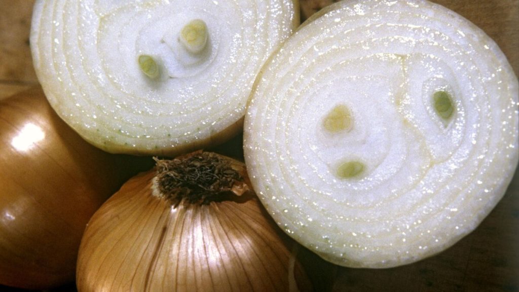 Zelenina, kterou mnoho lidí podceňuje. Pomáhá snižovat hladinu cukru a cholesterolu